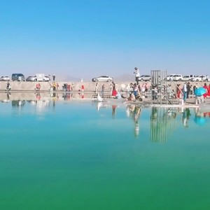 陪你一起看草原