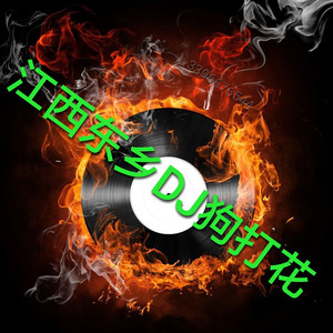 广东爱情故事DJ东乡狗打花 (Remix)