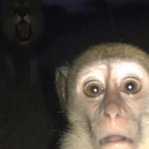 Sticky (feat. Jay35 & 2sev) (Explicit)