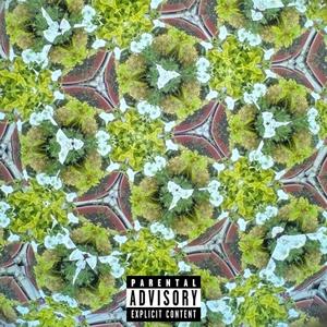 WHO U WIT (feat. DAYO G) (Explicit)