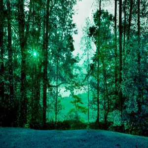 KOU!!! - LONELY ROAD!