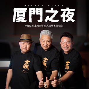 厦门之夜 (伴奏)