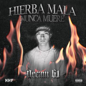 Hierba Mala Nunca Muere (Explicit)