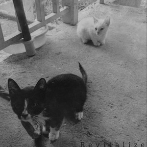 Callous - i don't give a