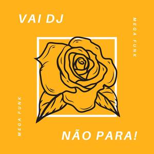 MEGA FUNK VAI DJ NÃO PARA! (Explicit)