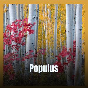 Populus