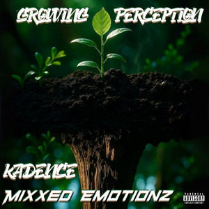 Growing Perception (Explicit)