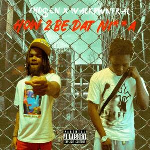 How 2 Be Dat Nigga (feat. Walkdwn Tral) (Explicit)