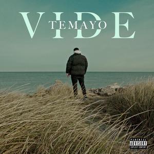 VIDE (Explicit)