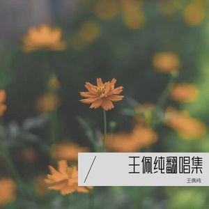 会开花的云