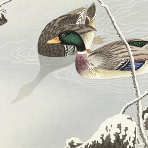 Hood!e - Close To Me (Explicit)