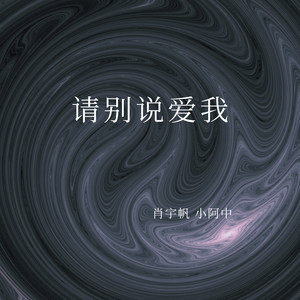 请别说爱我 (Remix)