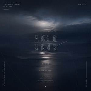 风都知道我很难受封面