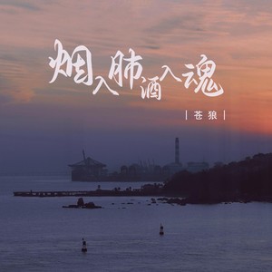 烟入肺酒入魂 (DJ版)