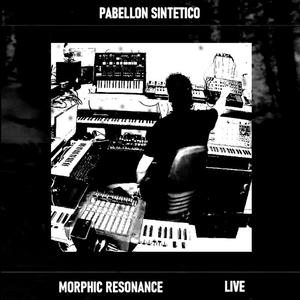 Morphic Resonance Live session 2023 (Live)