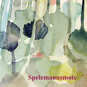 Spelemannsmøte