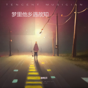 梦里他乡遇故知 (伴奏)