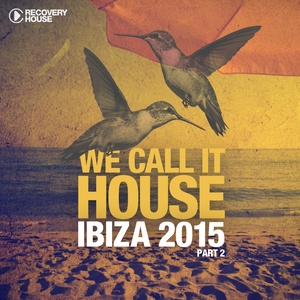 Diggin' for Gold (Wild Culture Remix)