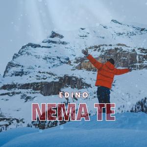NEMA TE (Explicit)