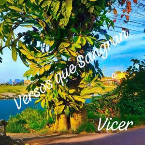 Versos que Sangran