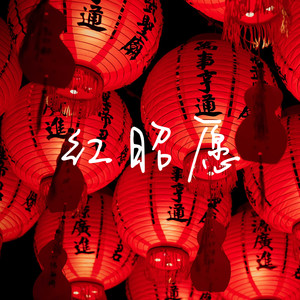 红昭愿 (DJ版)封面