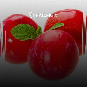 Spearmint