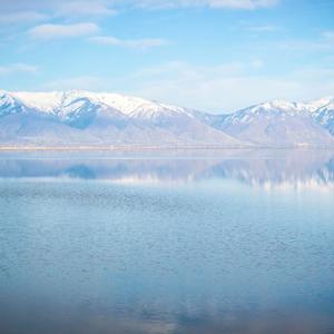 Brotherhood of Obsidian