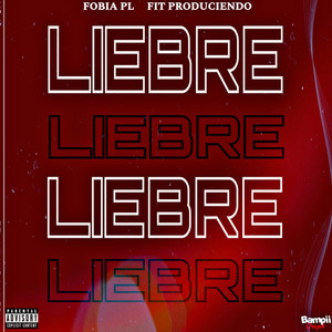 Liebre