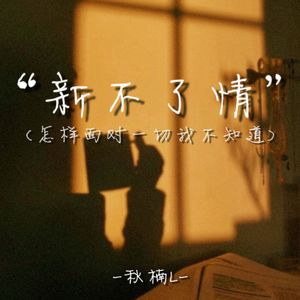新不了情 (怎样面对一切我不知道)