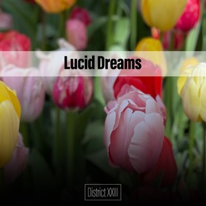 Lucid Dreams District XXIII