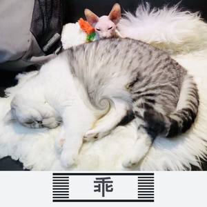 宝贝宝贝