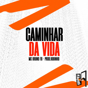 Caminhar Da Vida