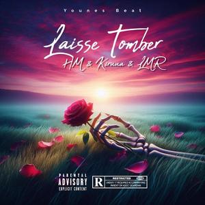 Laisse Tomber (feat. Kiruua & LMR)