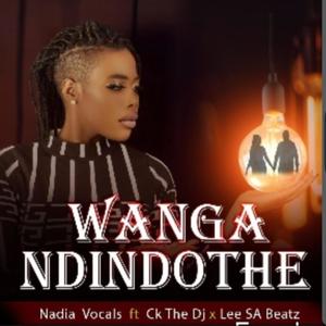 Wanga Ndindothe (feat. Ck The Dj & Lee SA Beatz )