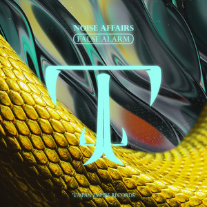 False Alarm (Extended Mix)