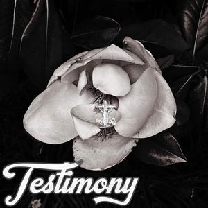 Testimony