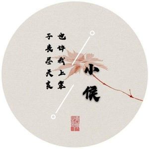 小侯 - 情花几时开 (新DJ)