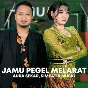 JAMU PEGEL MELARAT