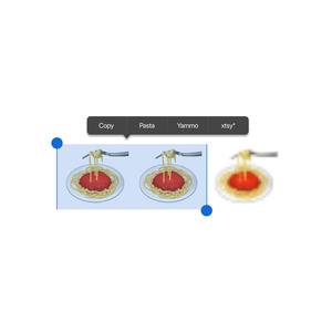 COPY N PASTA (feat. xtsy*) (Explicit)