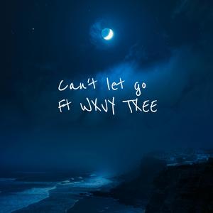Can't let go (feat. WXVY TXEE) (prod. Jean parker) (Explicit)