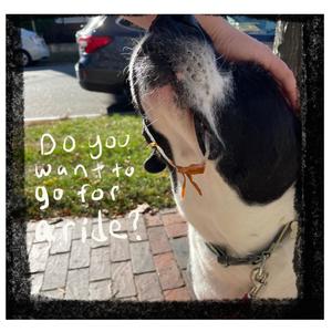 Want to go for a ride?