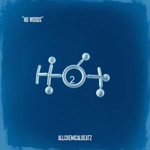 NO WORDS (feat. Vox Tag by Nicole Galgoczy AKA Queen Cole Bleu)