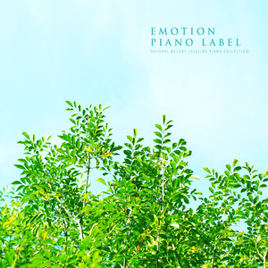 자연의 멜로디 (힐링 피아노 모음집) (Natural Melody (Healing Piano Collection))