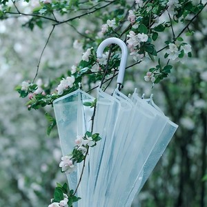 十七岁的雨季 (R&B版)封面