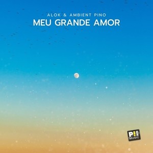 Meu Grande Amor (Original Mix)