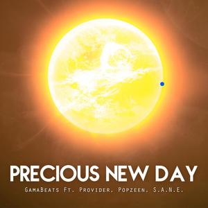 Precious New Day (feat. Provider, Popzeen & S.A.N.E.)