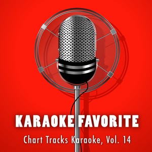 Chart Tracks Karaoke, Vol. 14