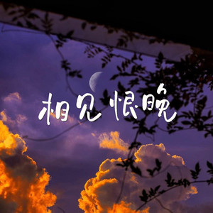 相见恨晚 (DJ默涵版)