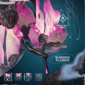 Burning Flower (Explicit)