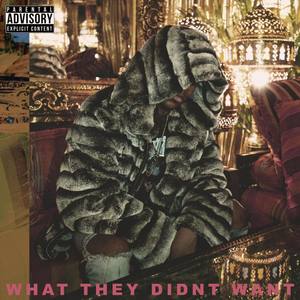 What They Didnt Want (Explicit)